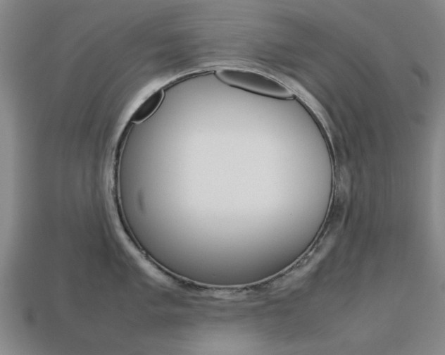 X0000113781005200909231037
