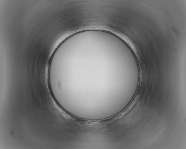 X0000113781006200909231037