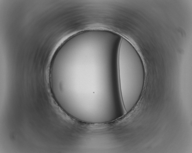 X0000113781008200909231037