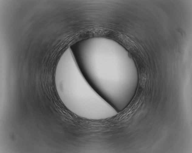 X0000113781010200909231036