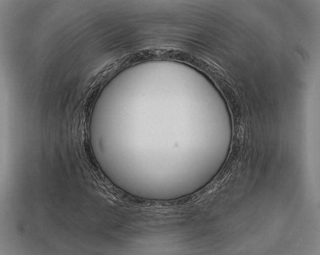 X0000113781014200909231036