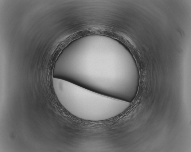 X0000113781016200909231037