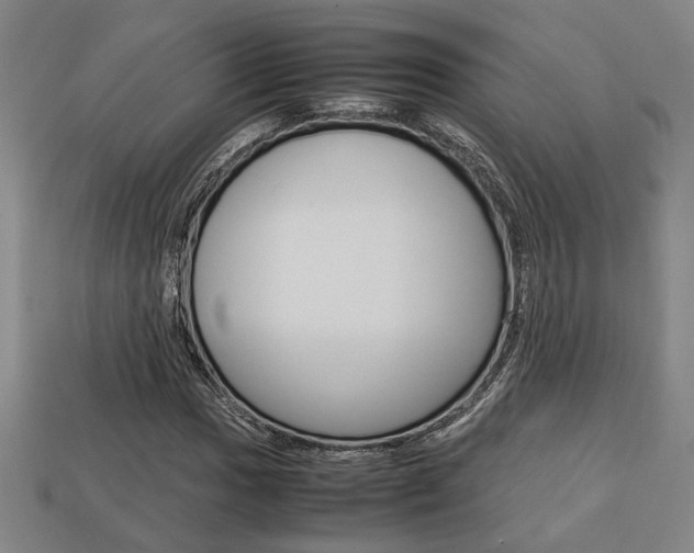 X0000113781017200909231037