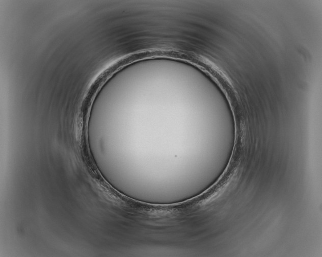 X0000113781021200909231037