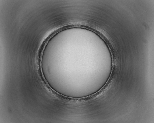 X0000113781022200909231037