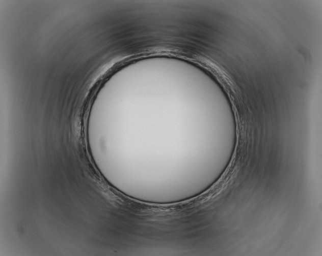 X0000113781023200909231037