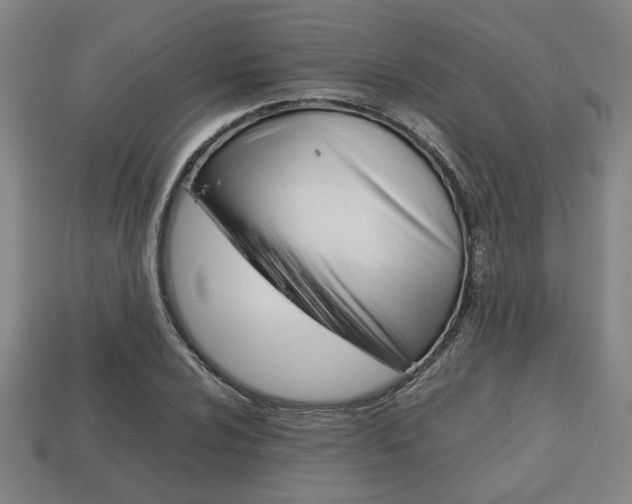 X0000113781024200909231037