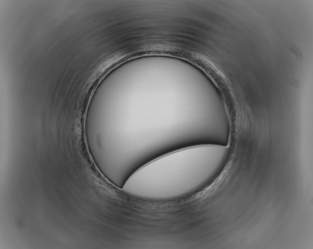 X0000113781025200909231037