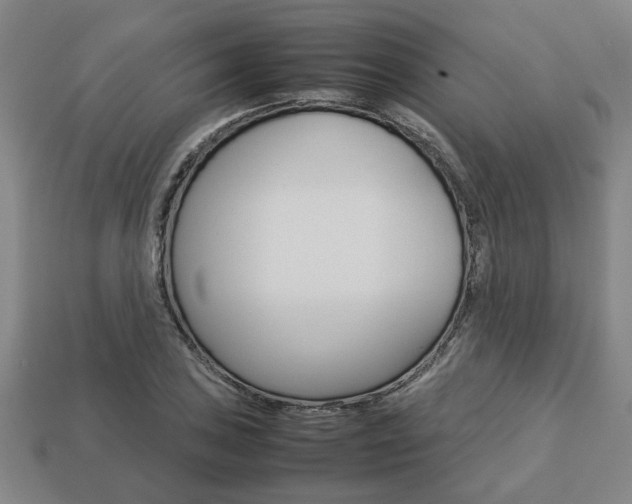 X0000113781027200909231037