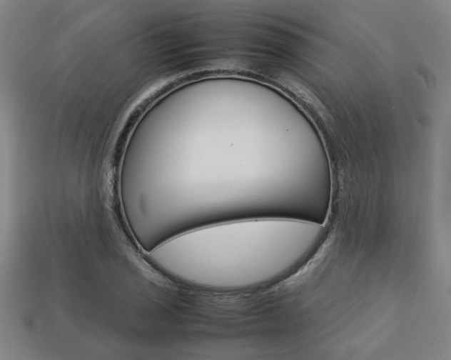 X0000113781029200909231037