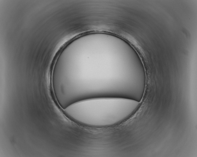 X0000113781032200909231037