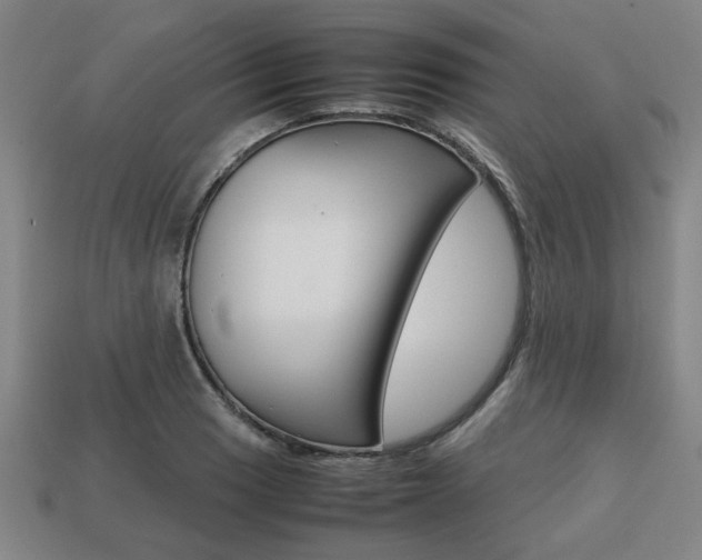 X0000113781033200909231037