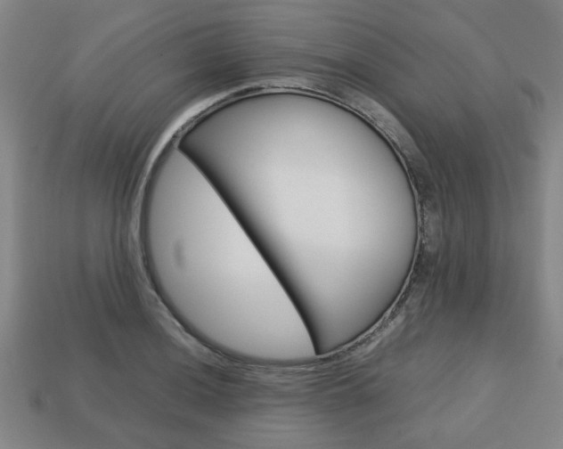 X0000113781036200909231037