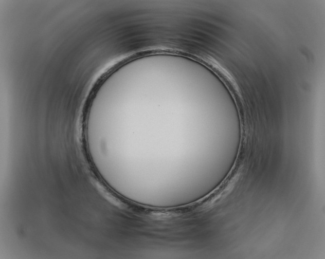 X0000113781037200909231037