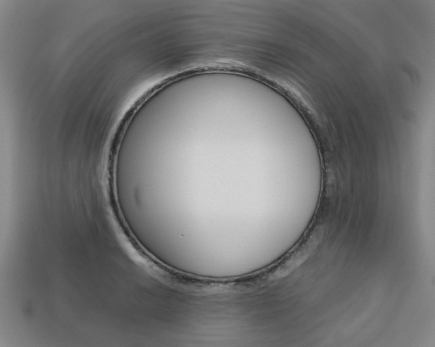 X0000113781038200909231037