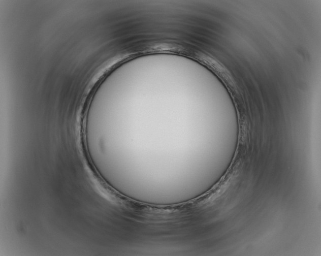 X0000113781039200909231037