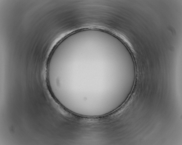 X0000113781040200909231037