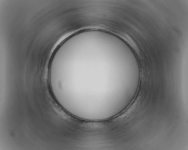 X0000113781044200909231037