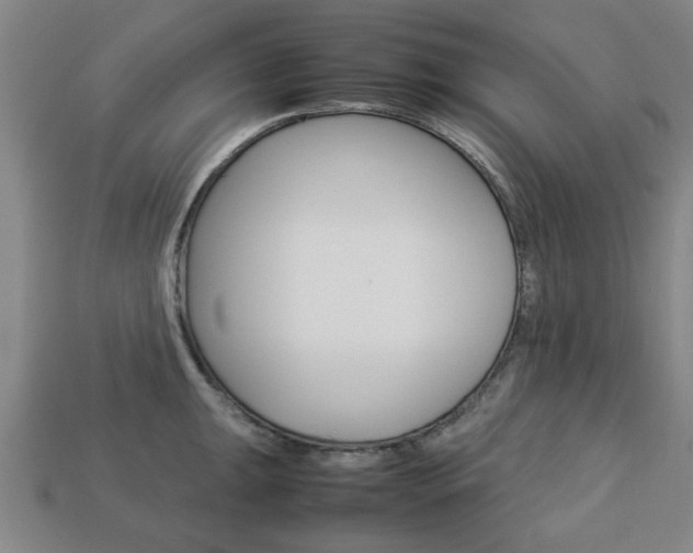 X0000113781047200909231037
