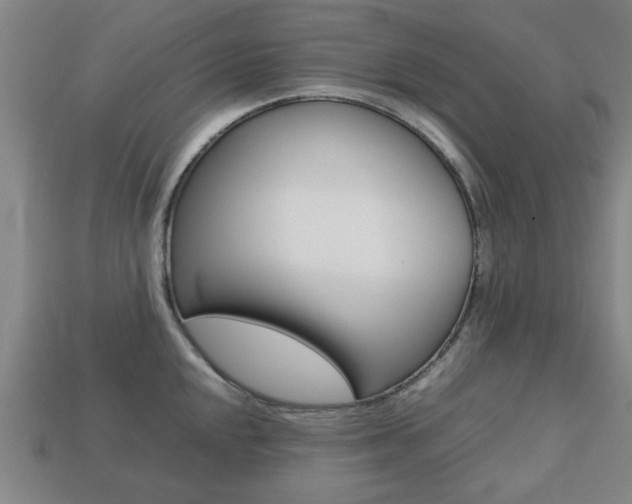 X0000113781048200909231037