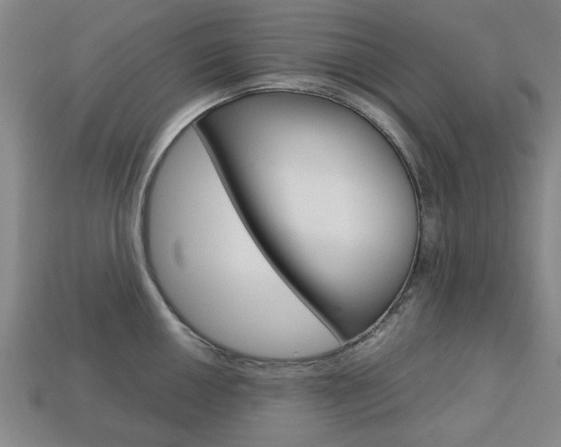 X0000113781050200909231037