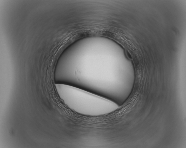 X0000113781057200909231036