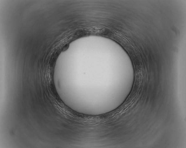 X0000113781058200909231036