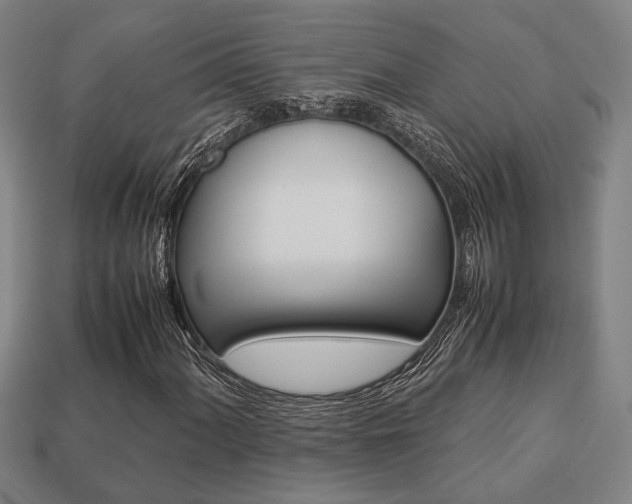 X0000113781060200909231036
