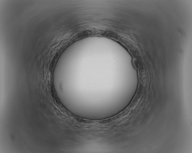 X0000113781061200909231036