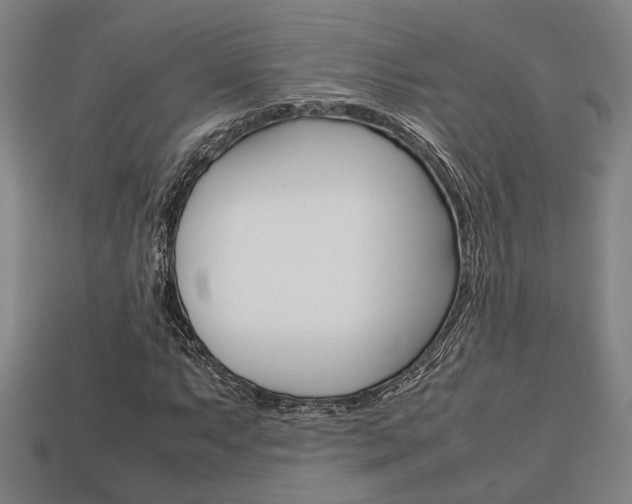 X0000113781063200909231036