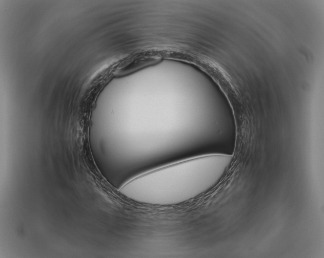 X0000113781064200909231036