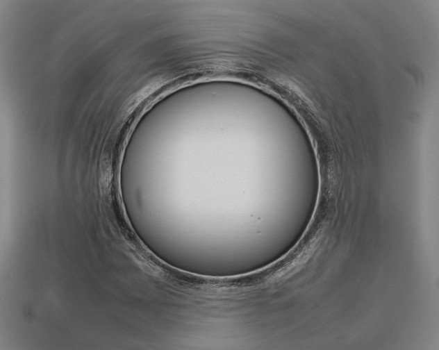X0000113781065200909231036