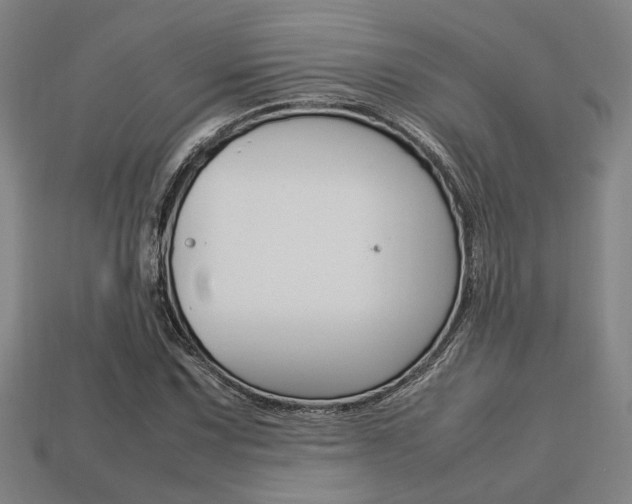 X0000113781067200909231036