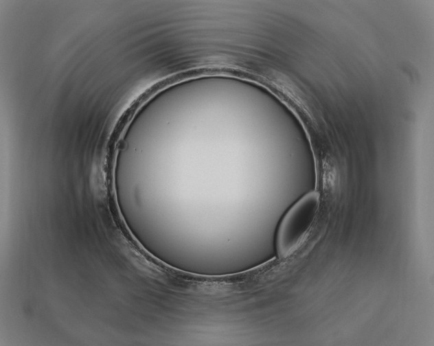 X0000113781068200909231036