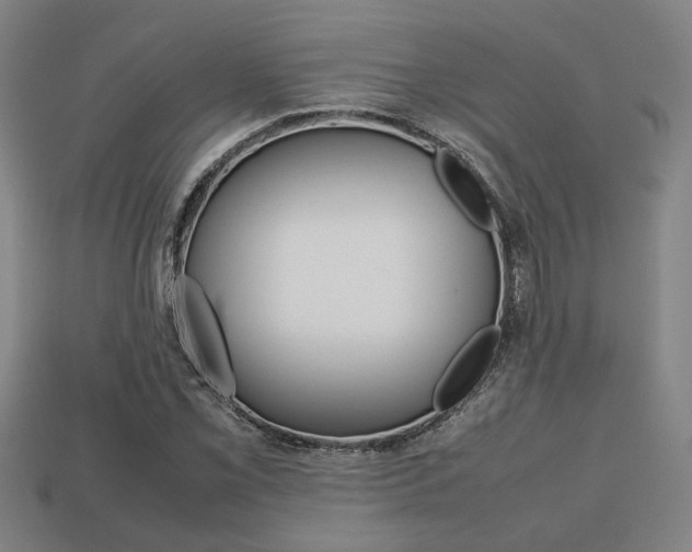 X0000113781069200909231036