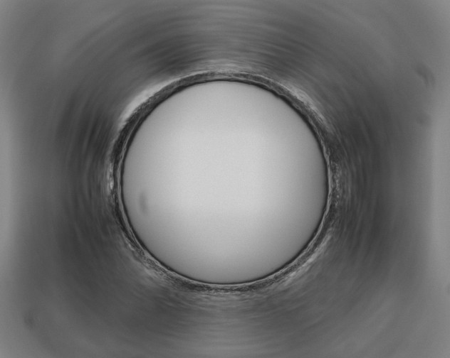 X0000113781070200909231036