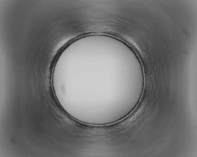 X0000113781071200909231036