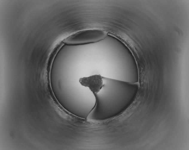 X0000113781072200909231036