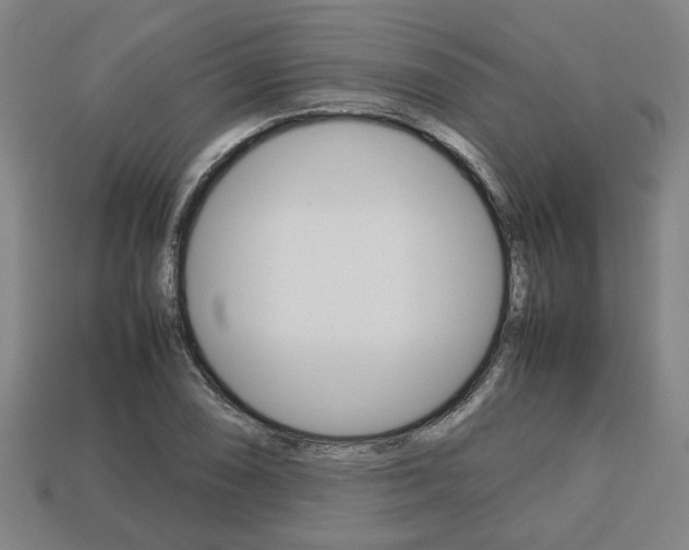 X0000113781074200909231036