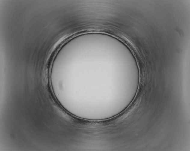 X0000113781075200909231036