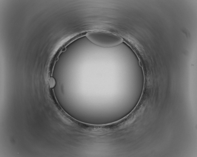 X0000113781077200909231036