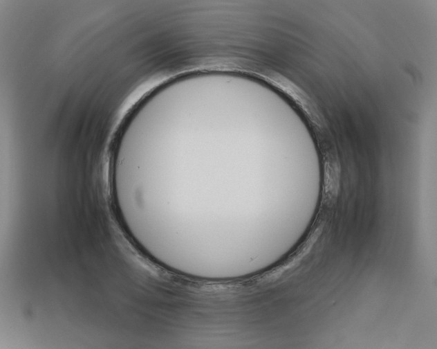 X0000113781078200909231036