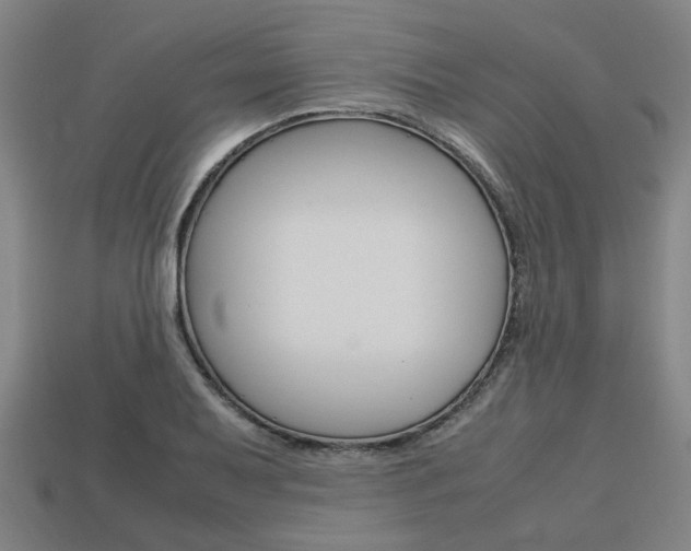 X0000113781079200909231036