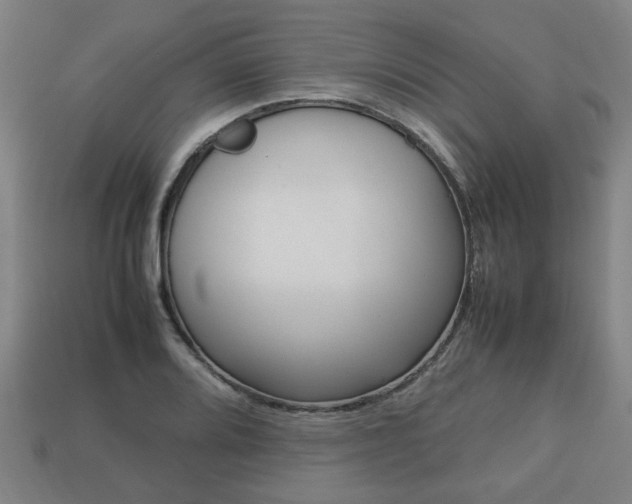 X0000113781080200909231036