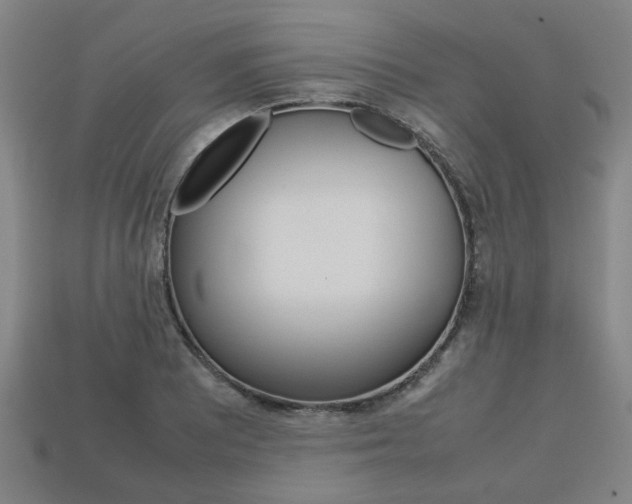 X0000113781081200909231036