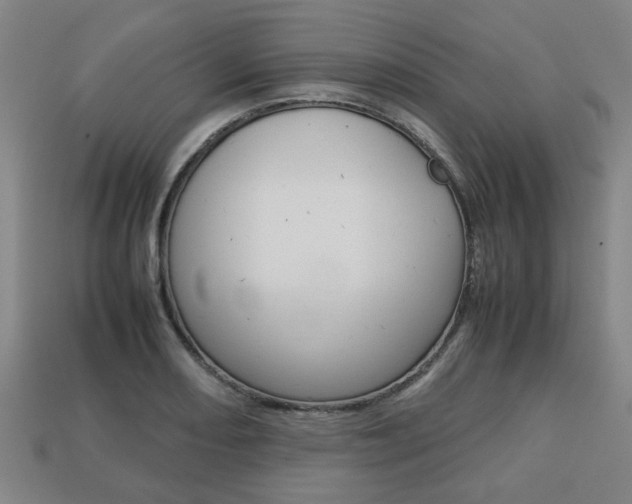 X0000113781082200909231036
