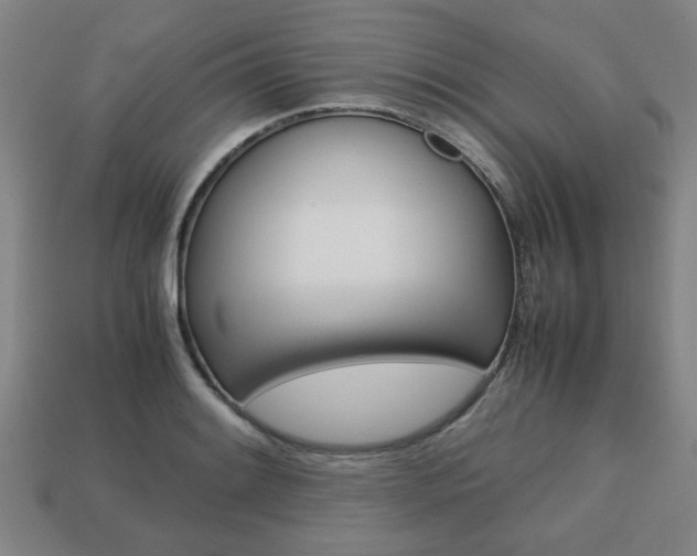 X0000113781084200909231036