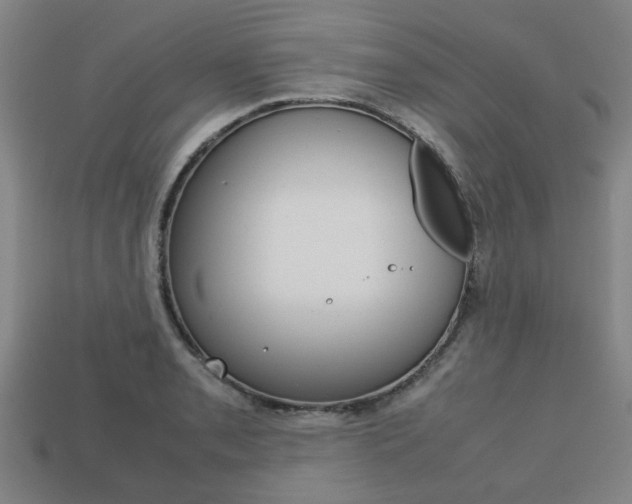 X0000113781085200909231036