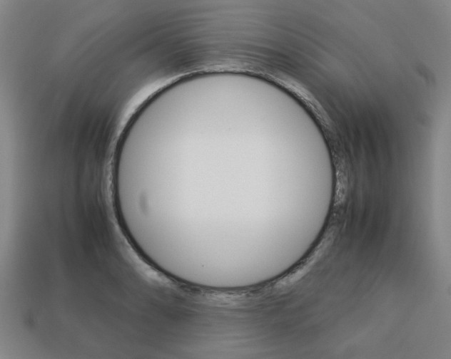 X0000113781086200909231036