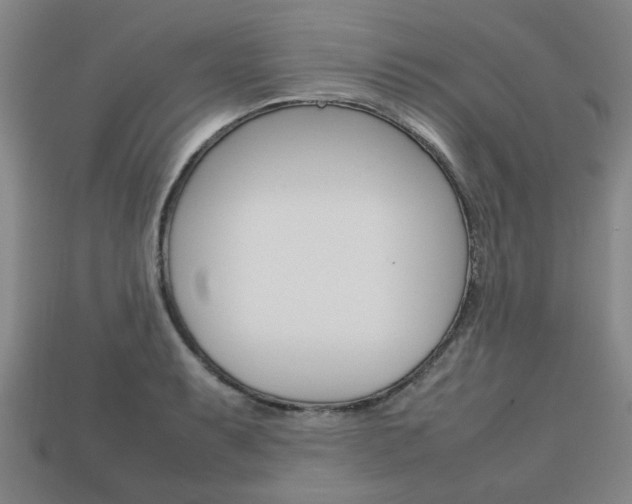X0000113781087200909231036